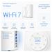 WiFi router TP-Link Deco BE85(2-pack) AXE19000, WiFi 7, 1x 10GLAN, 2x 2.5GLAN, 1x 10GLAN/SFP+, USB, 2,4/5/6GHz